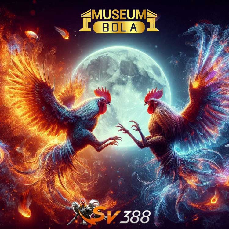 Museumbola: Sumber Informasi Terpercaya untuk Sabung Ayam